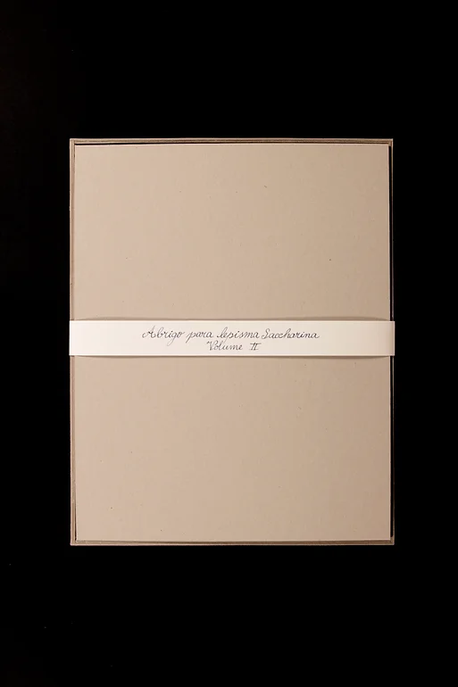 Abrigo para Lepisma Saccharina#1, Volume II, papel dobrado ( fólio) recortado e colado em caixa de cartão, 35x27,6x1,7cm, 2018-Rui-Horta-Pereira