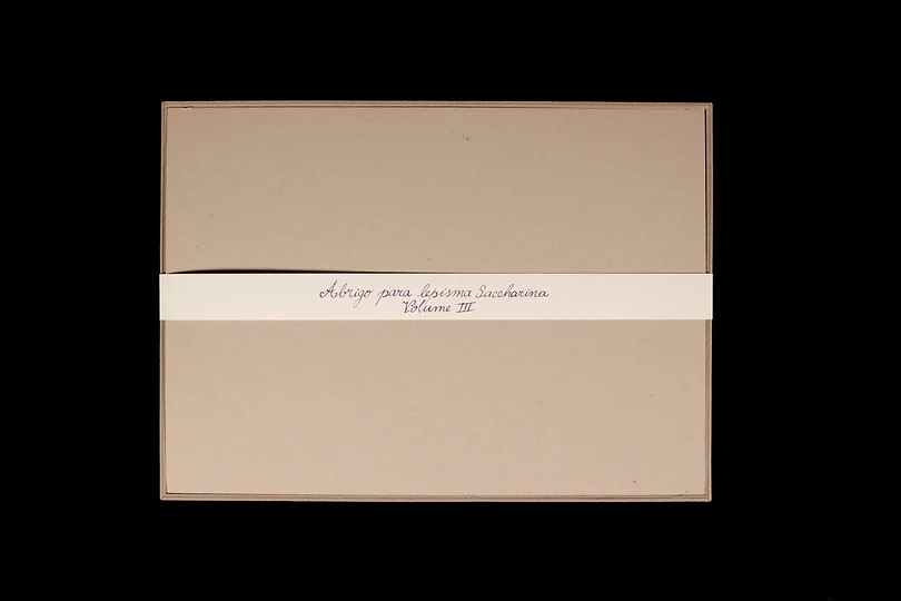 Abrigo para Lepisma Saccharina#1, Volume III, papel dobrado ( fólio) recortado e colado em caixa de cartão, 26x36,5x1,4cm, 2018-Rui-Horta-Pereira
