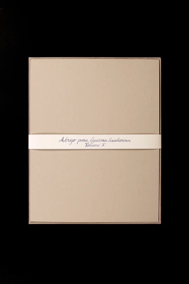 Abrigo para Lepisma Saccharina#1, Volume VII, papel dobrado ( fólio) recortado e colado em caixa de cartão, 35x27,6x1,7cm, 2018