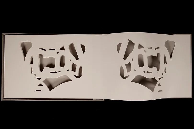 Abrigo para Lepisma Saccharina#3, Volume IV, papel dobrado ( fólio) recortado e colado em caixa de cartão, 25x38x1,4cm, 2018-Rui-Horta-Pereira.webp