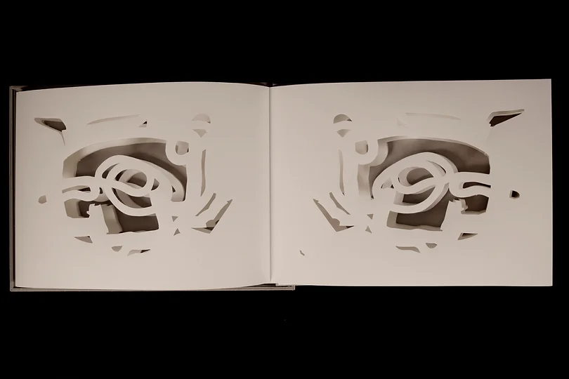 Abrigo para Lepisma Saccharina#4, Volume III, papel dobrado ( fólio) recortado e colado em caixa de cartão, 26x36,5x1,4cm, 2018-Rui-Horta-Pereira