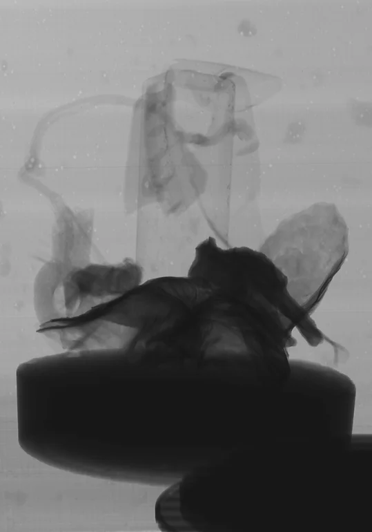 Inanimado-#1 Inanimado, Impressão fotográfica a partir de radiografia a escultura, em papel fine art, ( prova única) 100x70cm, 2018-Rui-Horta-Pereira (2)